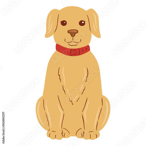 Golden retriever dog sitting