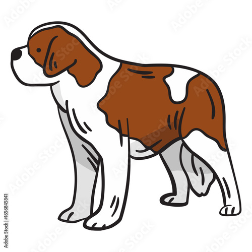 Swiss mountain dog animal illustration