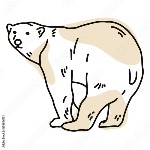 Wild polar bear color stroke