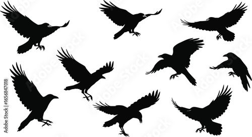 Seamless Pattern of Flying Raven Silhouettes on Transparent Background pattern featuring silhouettes flying ravens The silhouette style gives dramatic and distinctive look The transparent background