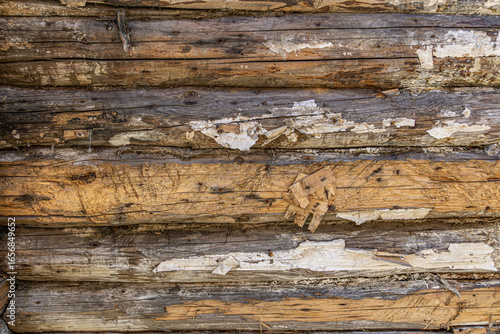 Close up of weathered wooden logs reveals cracked, aged surfaces with peeling paint. Texture highlights natural decay, wood grain, and rustic character, emphasizing aged construction materials.