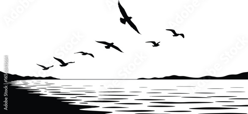 Seagulls Flying Over the Ocean Silhouette on Transparent Background silhouette illustration seagulls flying over ocean The image features transparent background making easy for designers integrate
