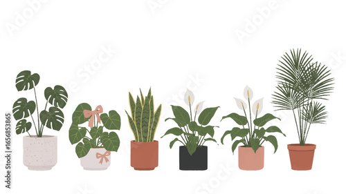 A Minimalist Illustration of Six Indoor Houseplants in Decorative Pots, Showcasing Greenery and Home Decor Elements