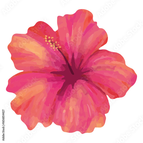 Floral pink hibiscus watercolor