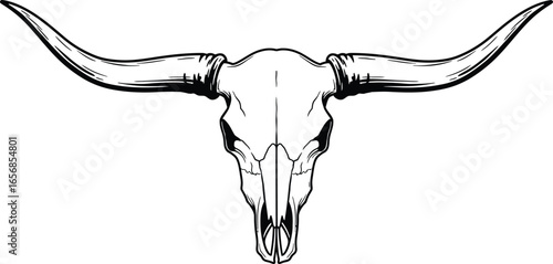 Detailed Bull Skull Illustration in Black and White on Transparent Background silhouette