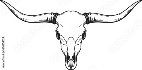 Detailed Bull Skull Illustration in Black and White Silhouette on transparent background