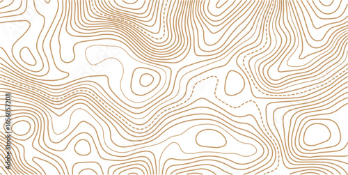 Simplified, modern map-style line design. Useful for data visuals, environment graphics, and conceptual digital artwork.

