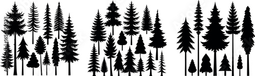 Silhouette of Evergreen Trees Set on White Background,Pine fir tree tall tree isolated premium vector image, black and white tree silhouettes,coniferous trees, pine trees,fir trees silhouettes set,Ai