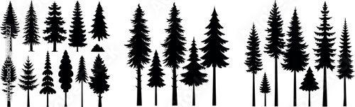 Silhouette of Evergreen Trees Set on White Background,Pine fir tree tall tree isolated premium vector image, black and white tree silhouettes,coniferous trees, pine trees,fir trees silhouettes set,Ai