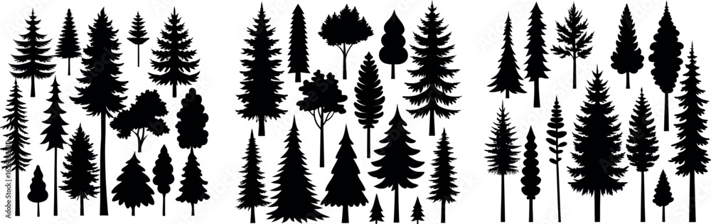 Obraz premium Silhouette of Evergreen Trees Set on White Background,Pine fir tree tall tree isolated premium vector image, black and white tree silhouettes,coniferous trees, pine trees,fir trees silhouettes set,Ai
