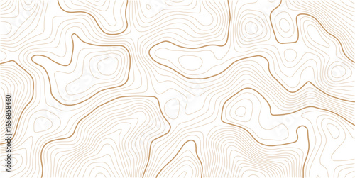 Topographic map background. Golden line topography map contour background