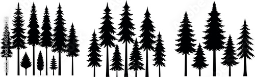 Silhouette of Evergreen Trees Set on White Background,Pine fir tree tall tree isolated premium vector image, black and white tree silhouettes,coniferous trees, pine trees,fir trees silhouettes set,Ai