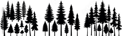 Silhouettes of Pine and Fir Trees in a Natural Forest Setting – Vector Design	

