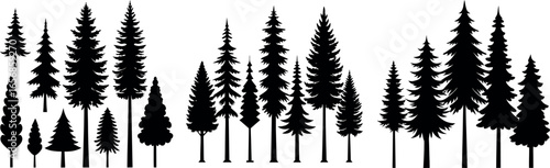 Silhouettes of Pine and Fir Trees in a Natural Forest Setting – Vector Design	
