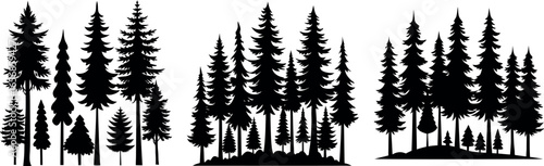 Silhouettes of Pine and Fir Trees in a Natural Forest Setting – Vector Design	
