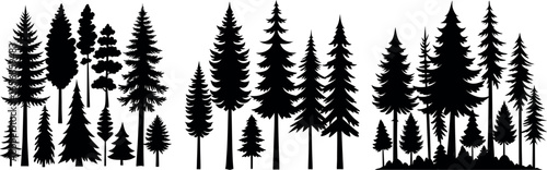 Silhouettes of Pine and Fir Trees in a Natural Forest Setting – Vector Design	
