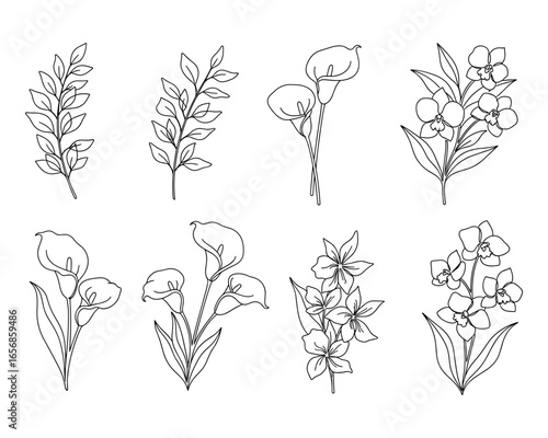 Elegant floral line art collection featuring delicate leaves calla lilies and orchids botanical illustrations for wedding designs and minimalistic art projects