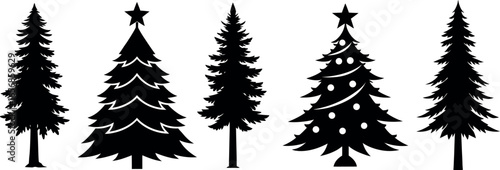Silhouettes of various evergreen trees in a forest