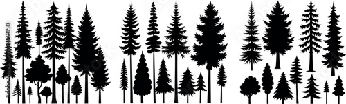 Silhouettes of Pine and Fir Trees in a Natural Forest Setting – Vector Design	
