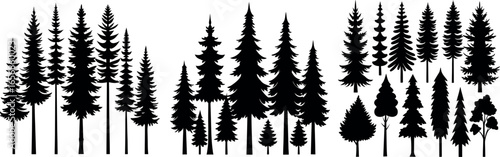 Silhouettes of Pine and Fir Trees in a Natural Forest Setting – Vector Design	
