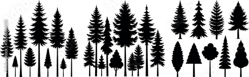 Silhouettes of Pine and Fir Trees in a Natural Forest Setting – Vector Design	
