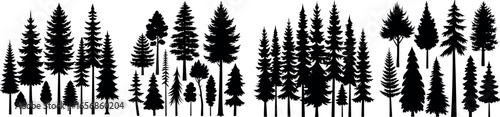 Forest of Christmas fir trees silhouette. Coniferous spruce panorama. Park of evergreen wood. Vector on white background