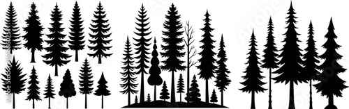 Forest of Christmas fir trees silhouette. Coniferous spruce panorama. Park of evergreen wood. Vector on white background