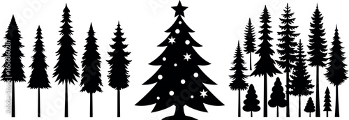 Forest of Christmas fir trees silhouette. Coniferous spruce panorama. Park of evergreen wood. Vector on white background