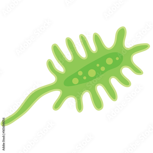 Illustration of a Green Amoeba-Like Cell with Central Dots and Spiky Protrusions, Ideal for Biology and Science Resources