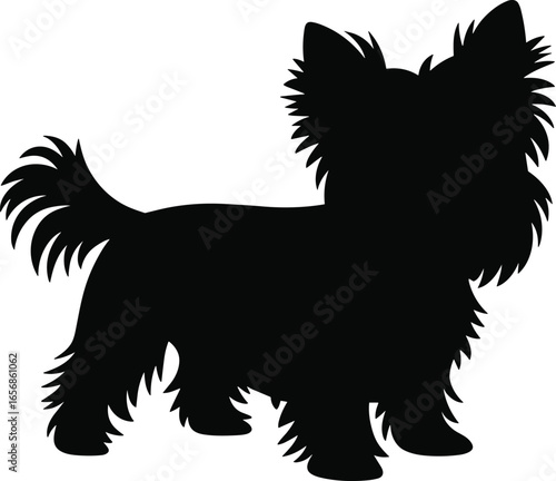 Yorkshire Terrier dog silhouette, small breed pet vector, cute furry animal illustration, black shape design, domestic puppy graphic, isolated cartoon style icon.