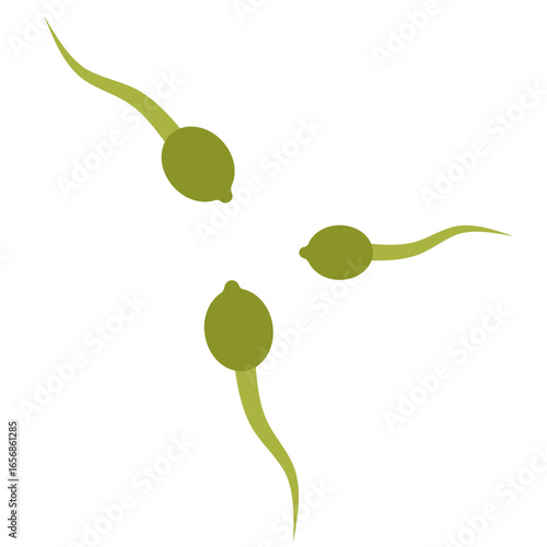 Whimsical Tadpole Trio Adorable Aquatic Larvae in Green, Awaiting Transformation