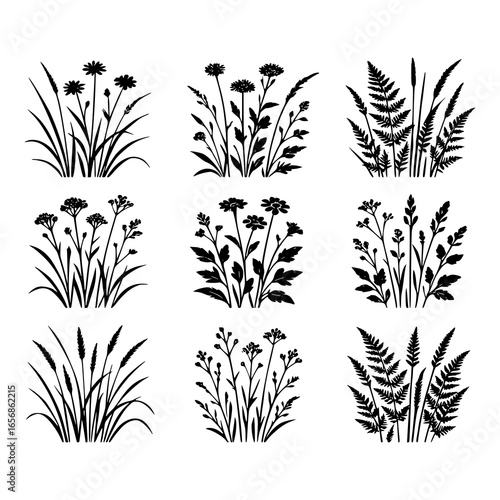 Black silhouette wild grass and fern vector set, botanical plant clipart bundle for nature illustration, floral decoration, eco design, digital cut file for crafts, stickers, logos, wall art