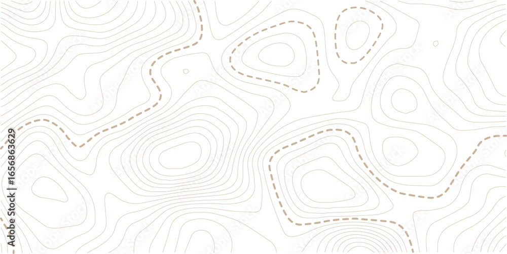 Fototapeta premium Abstract topographic map background Vector. 16.9 wallpaper design for fabric , packaging , web, geographic grid map vector illustration.