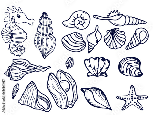 Seashells set or mollusca different forms. sea creature. engraved hand drawn in old sketch, vintage style. nautical or marine, monster or food. animals in the ocean