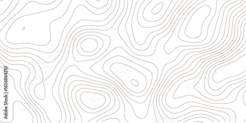 Topographic map background. Geographic line map with elevation assignments. Contour background geographic grid. Vector illustration.