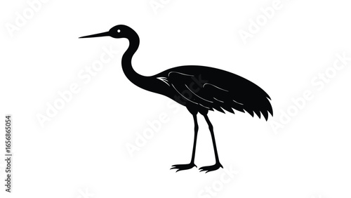 Crane bird standing silhouette illustration for wetland, nature, and conservation design projects Vector illustration on white background.