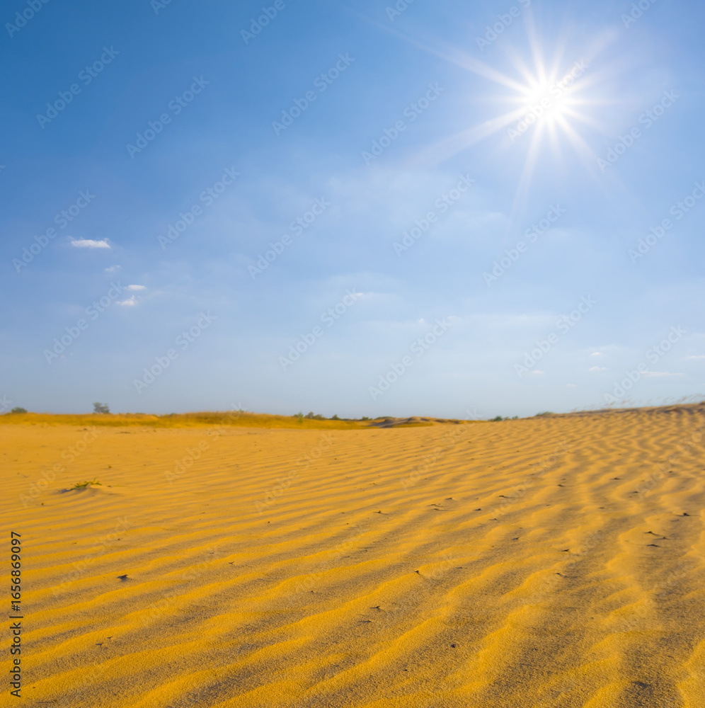 Naklejka premium wide sandy desert at the summer sunny day