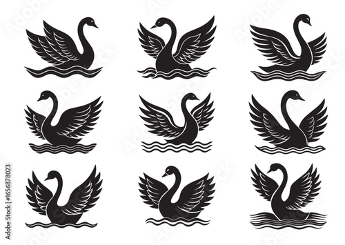 Swan on water with wings spread out vector Set