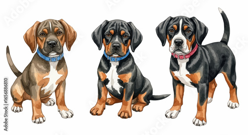 Watercolor dog illustration “Buddy” pet portrait isolated on white background