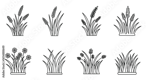 A collection of various plants and flowers in pots line art style