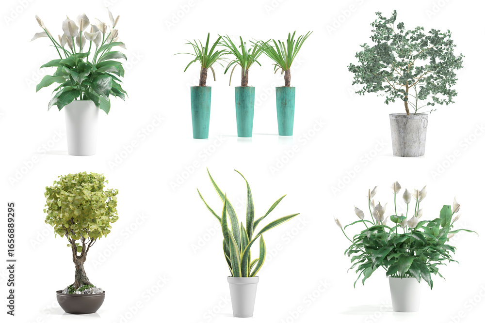 Fototapeta premium Variety of potted indoor plants on white background.