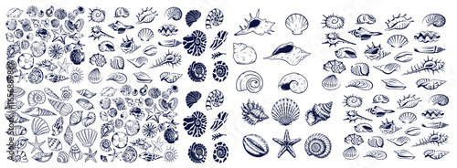 Seashells set or mollusca different forms. sea creature. engraved hand drawn in old sketch, vintage style. nautical or marine, monster or food. animals in the ocean