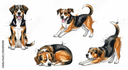 Watercolor dog illustration “Max” pet portrait isolated on white background