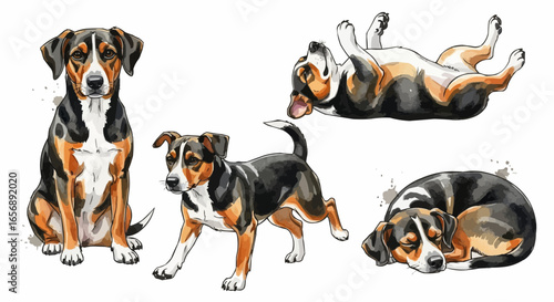 Watercolor dog illustration “Max” pet portrait isolated on white background