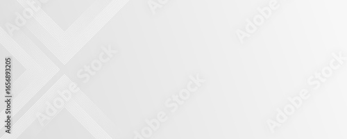 Light grey abstract banner. Thin fading lines on gradient background. Editable stroke