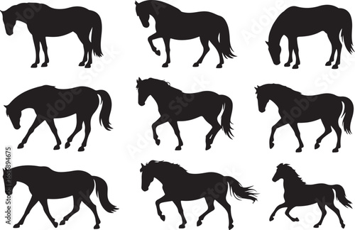 Horse Silhouette Collection Vector Illustration Equestrian Animal Equine