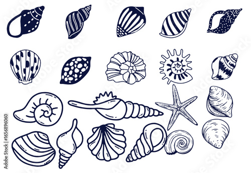 Seashells set or mollusca different forms. sea creature. engraved hand drawn in old sketch, vintage style. nautical or marine, monster or food. animals in the ocean