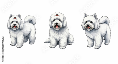 Watercolor dog illustration “Snowy” pet portrait isolated on white background