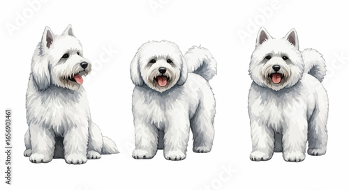 Watercolor dog illustration “Snowy” pet portrait isolated on white background