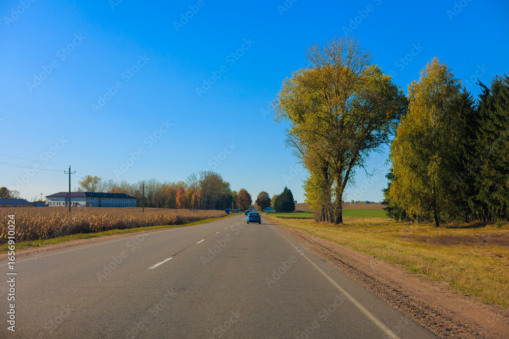 Fototapeta premium Autumn landscape, road and highway, asphalt and roadside.